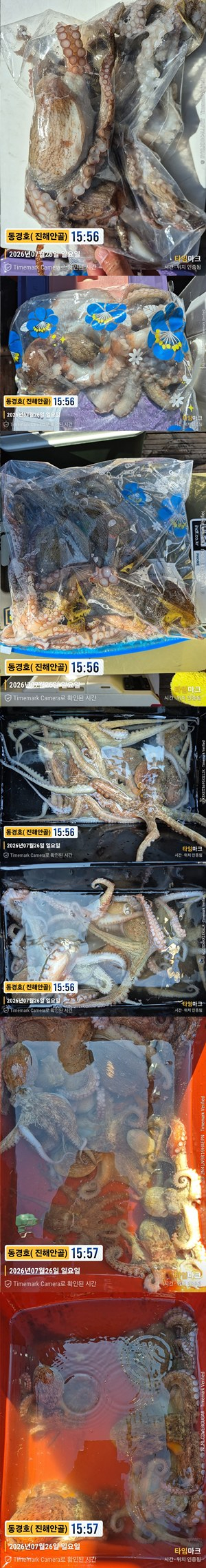 돌문어 26-7-26-7.jpg