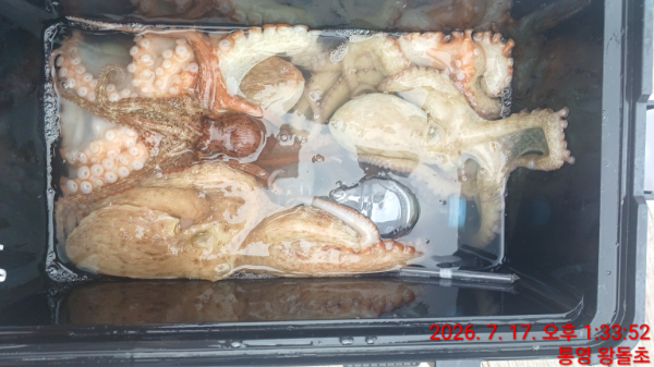 KakaoTalk_20260717_234848670_18.jpg