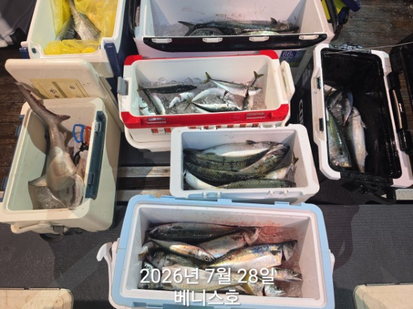 KakaoTalk_20260728_144653614_07.jpg