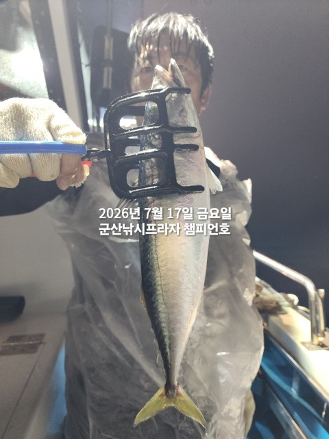 KakaoTalk_20260717_213522743_01.jpg