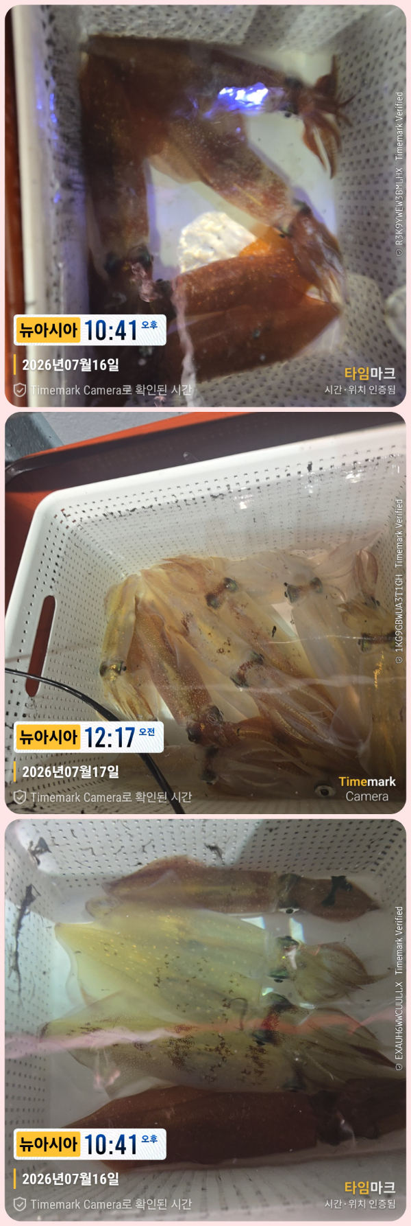 KakaoTalk_20260717_060510414_28-down.jpg