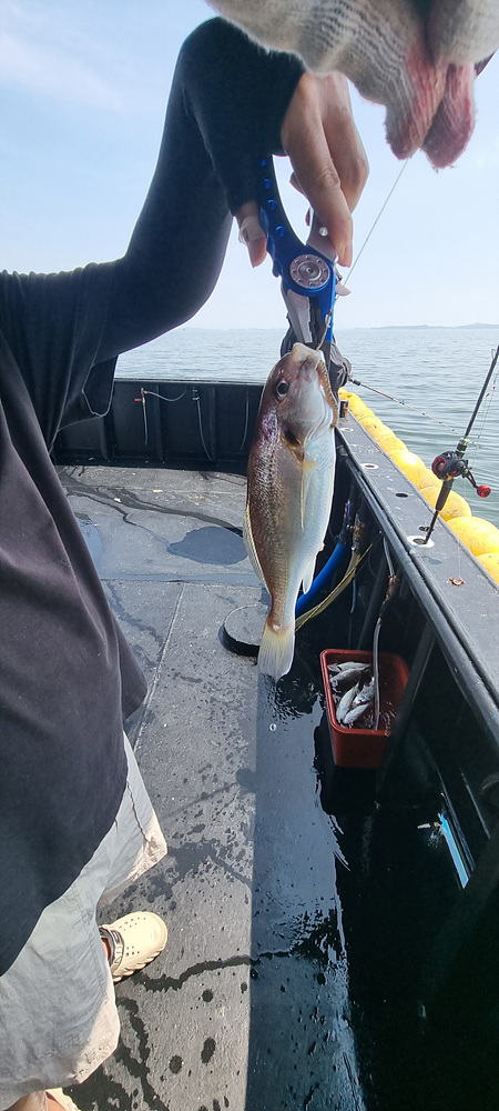KakaoTalk_20260712_162420630_13.jpg