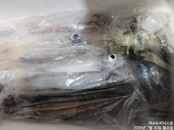 7월20일한치 (6).jpg