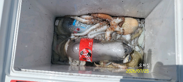 DateCamera0725133459.jpg