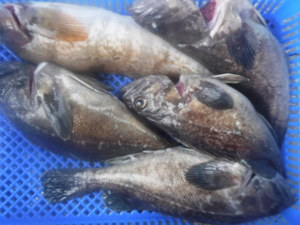 일괄편집_DSCF7090.jpg