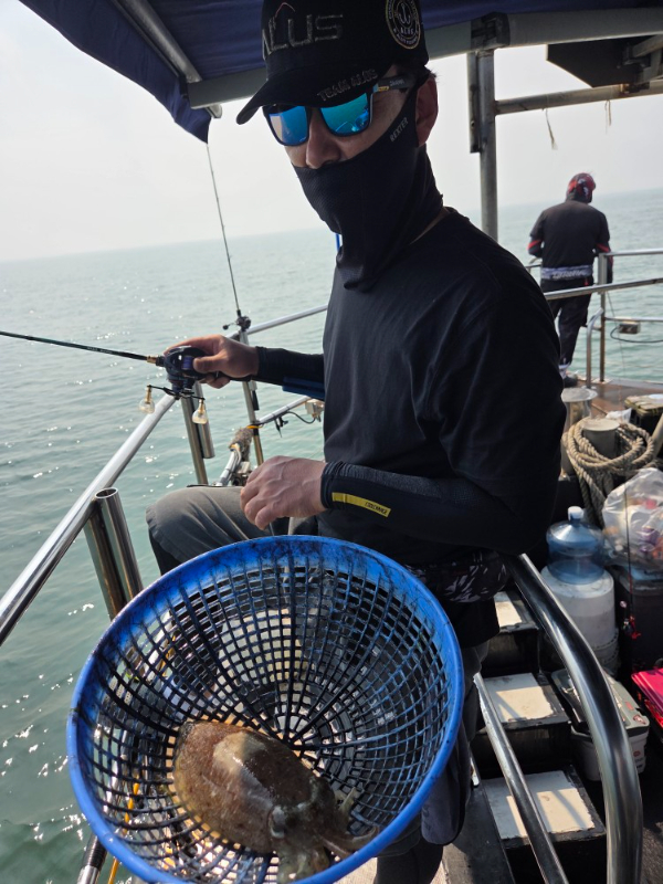 19633.jpg