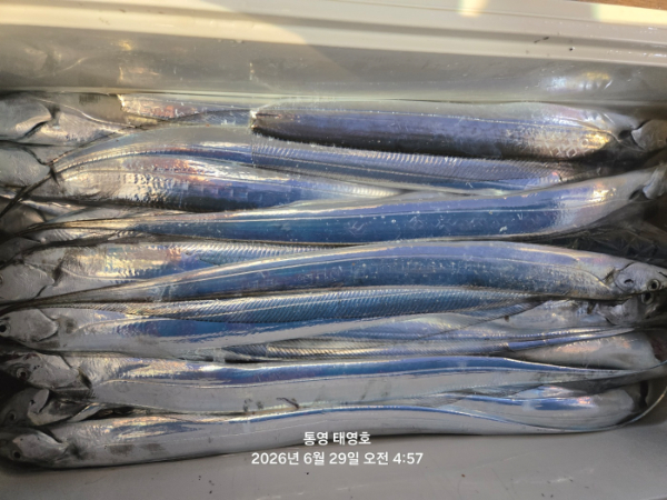 KakaoTalk_20260629_053804713_23.jpg