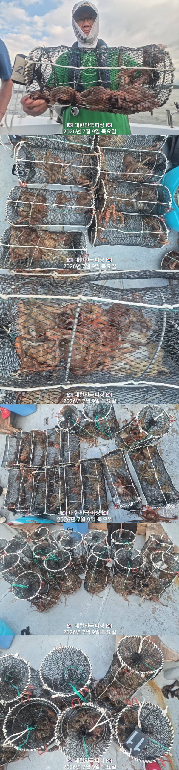 문어3.jpg