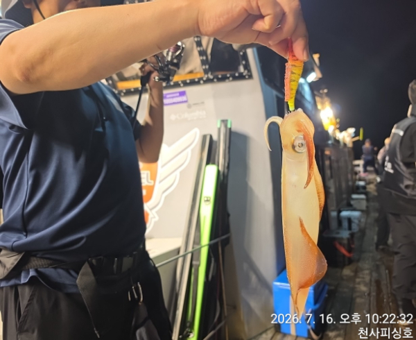 1004피싱_사진_20260717_8.jpg