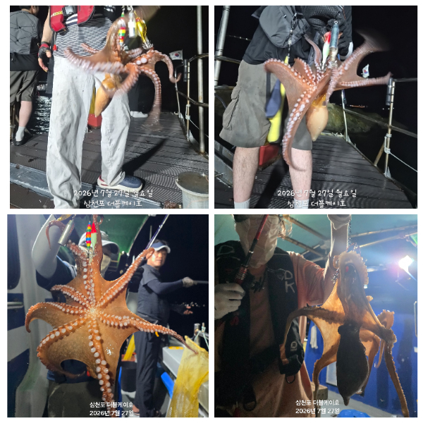 GridArt_20260728_112027363.jpg