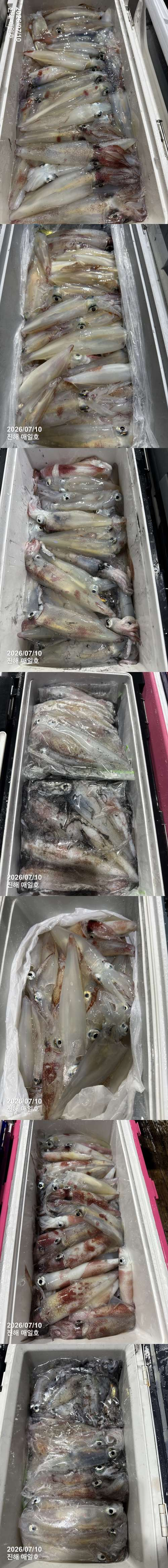 왕한치3.jpg