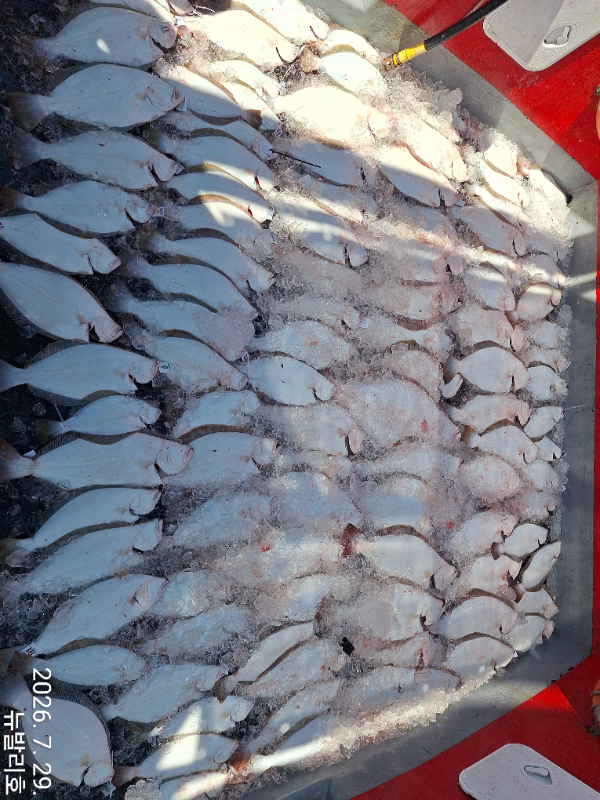 KakaoTalk_20260729_173114202_09.jpg