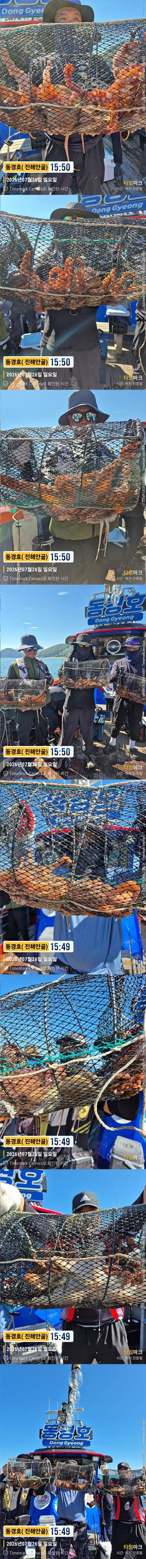 돌문어 26-7-26-3.jpg