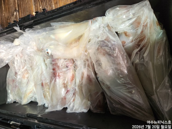7월20일한치 (1).jpg