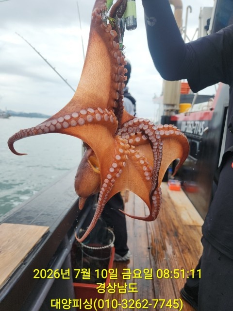 12311.jpg