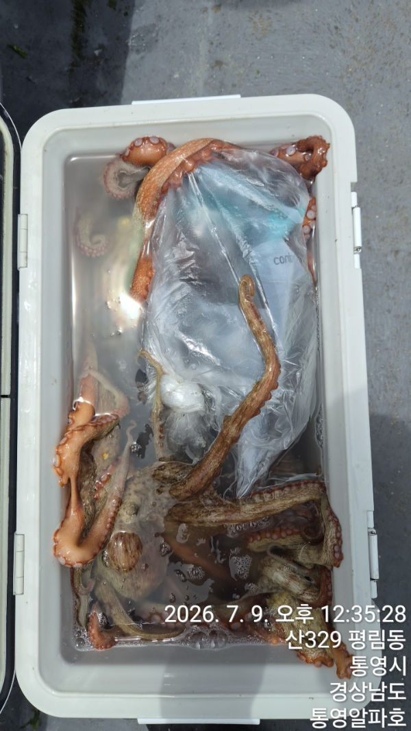 59295.jpg