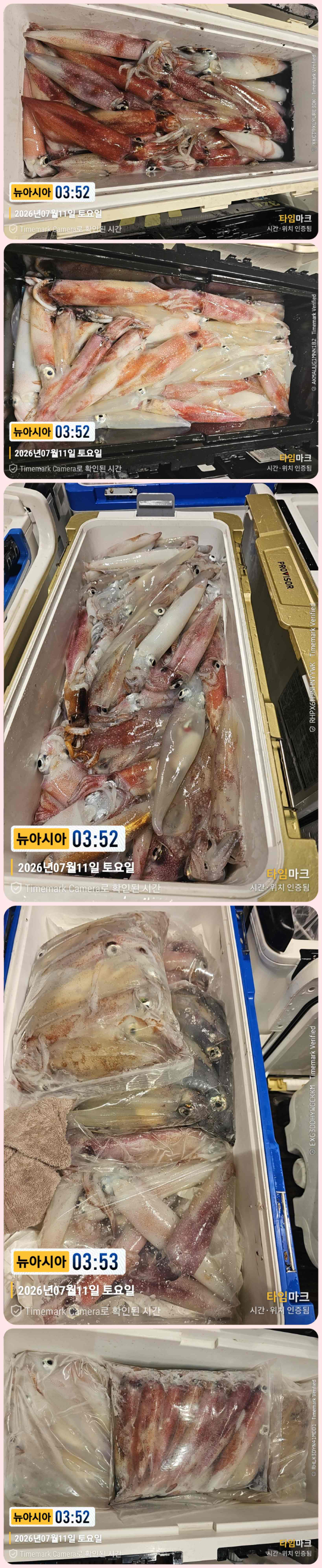 KakaoTalk_20260711_042823364-down.jpg