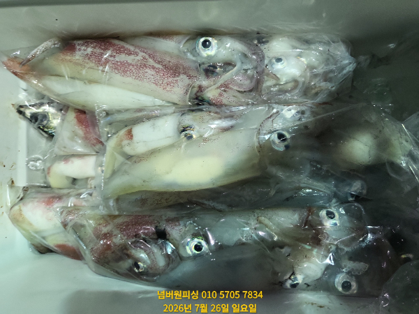 KakaoTalk_20260726_053746294_02.jpg
