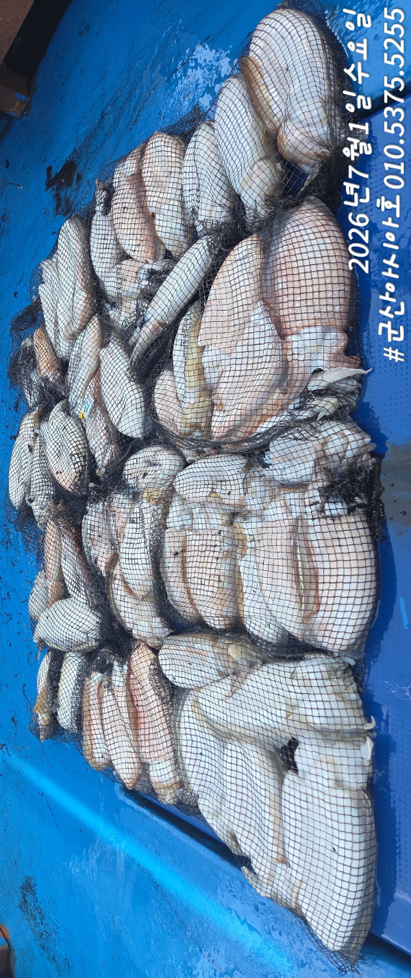 1782887441518.jpg