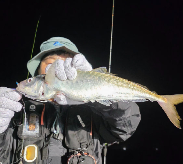 KakaoTalk_20260720_062327188_07.jpg