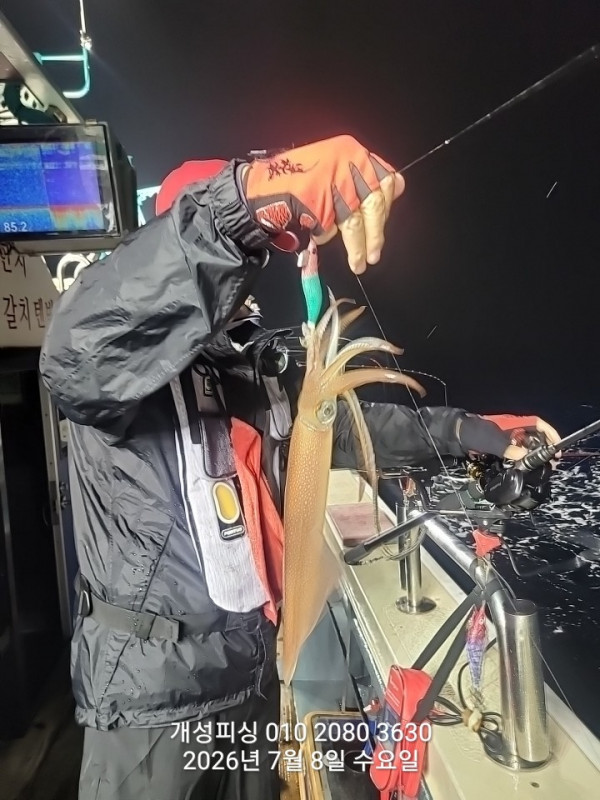 신아라호 한치 칼치 오징어_사진_20260709_7.jpg