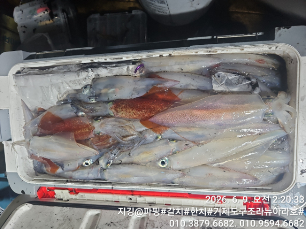 거제도 구조라  뉴아라호 (지깅, 파핑,한치,갈치,타이바라 전문)_사진_20260610_16.jpg