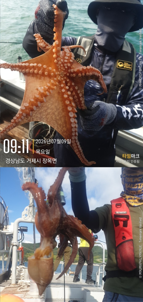 53.jpg