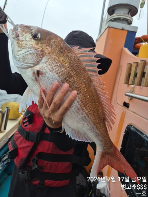 KakaoTalk_20260717_172316313_13.jpg