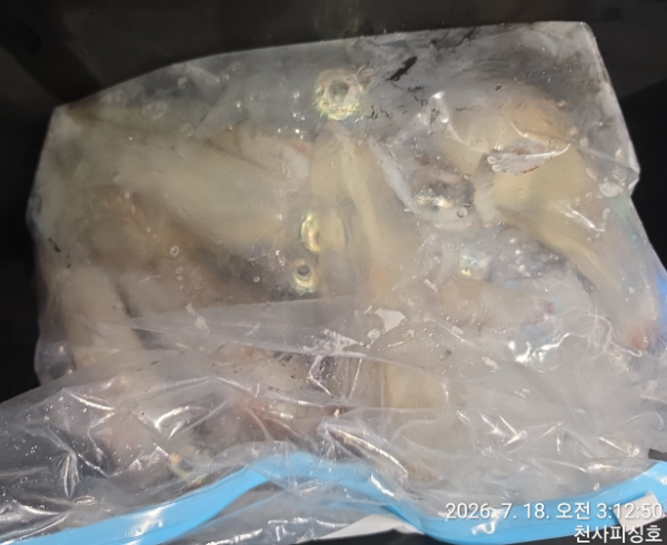 1004피싱_사진_20260718_10.jpg