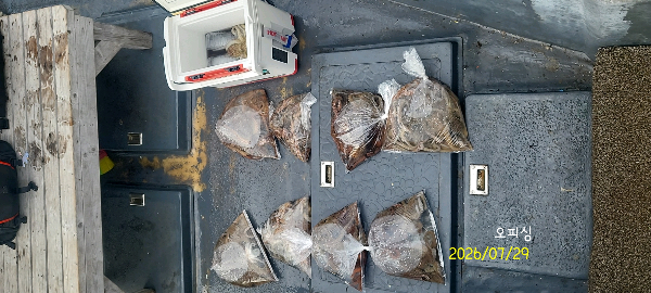 DateCamera0729083753.jpg