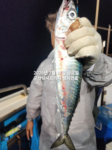 KakaoTalk_20260718_013448693_10.jpg
