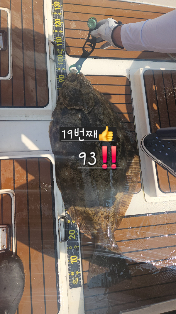 1783155136382.jpg