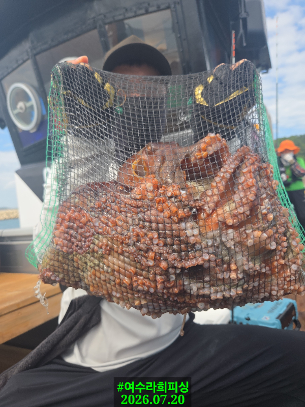 15054.jpg
