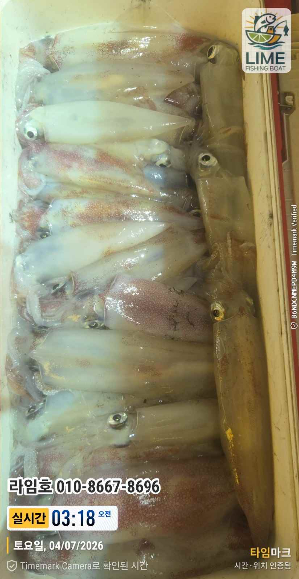 KakaoTalk_20260704_073411723.jpg
