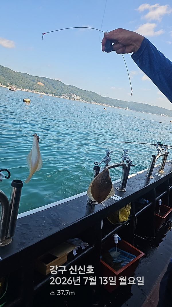 신신낚시 강구점 신신호_사진_20260713_5.jpg