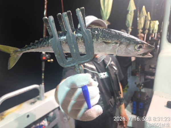 KakaoTalk_20260717_032840218_18.jpg
