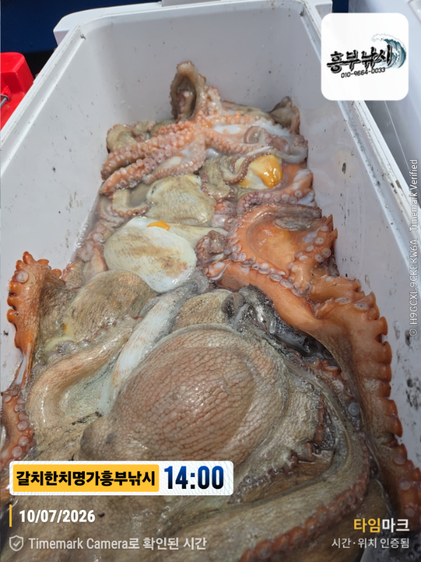 2026-07-10 14.00.18__(제목-갈치한치명가흥부낚시).jpg