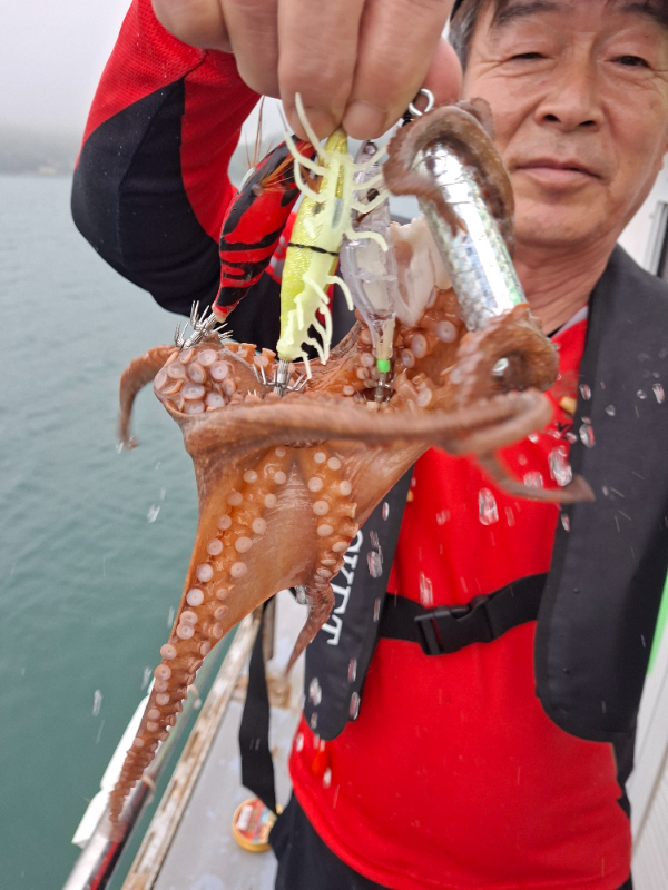 KakaoTalk_20260709_141708246_04.jpg