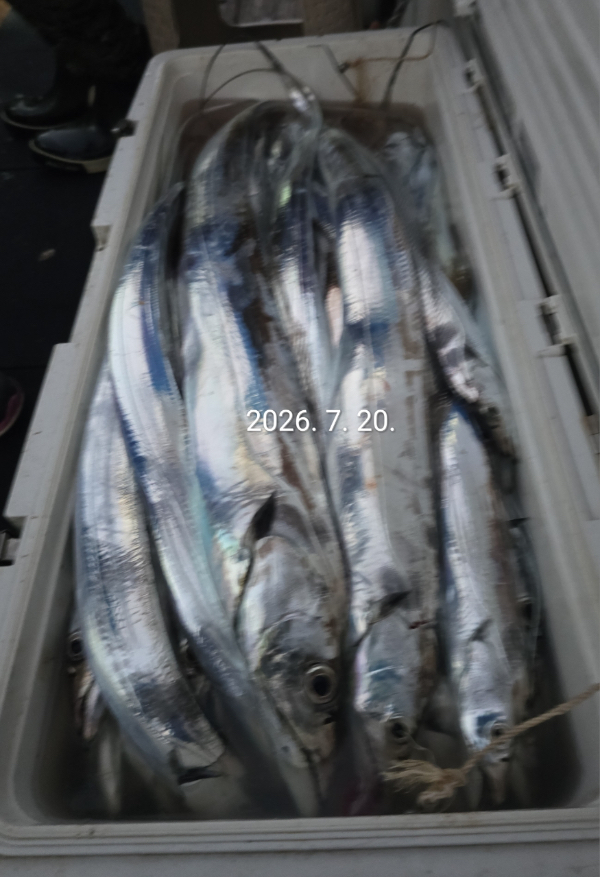 460A3C56-633D-463C-90AF-16DBB1E27B10.jpeg