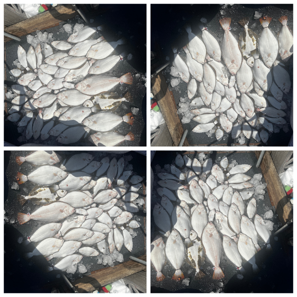 KakaoTalk_20260731_193107132_01.jpg