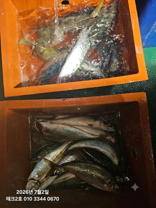 KakaoTalk_20260703_070729040_01.jpg