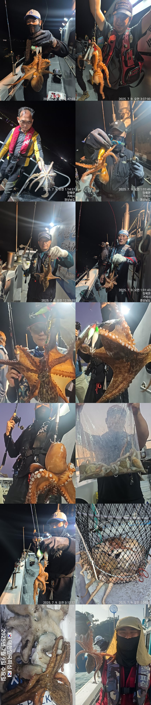 돌문어1.jpg