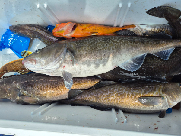 22726.jpg