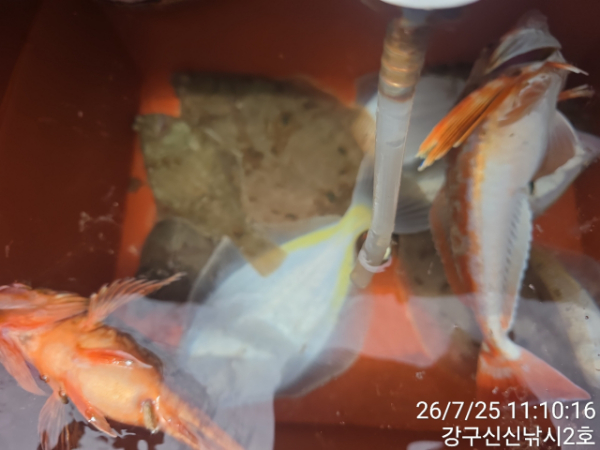 신신낚시 강구점 신신호_사진_20260725_7.jpg