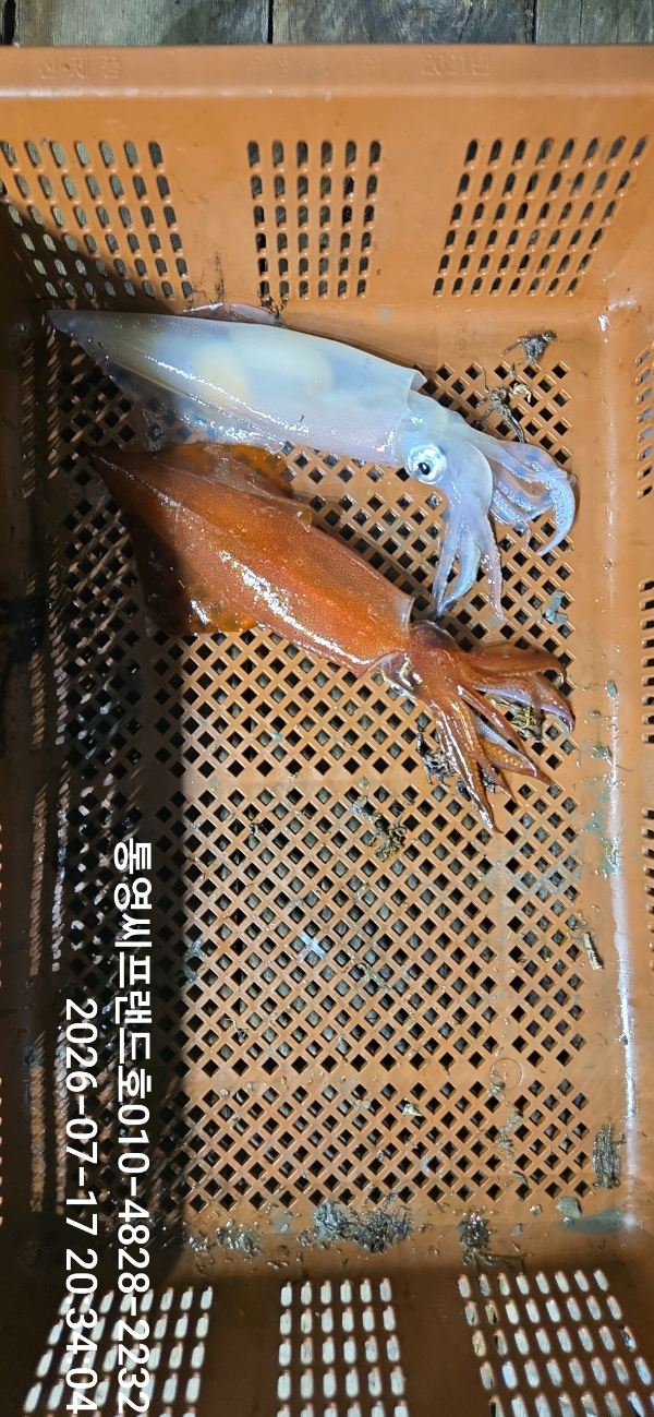 Resized_DateCamera0717203404.jpeg