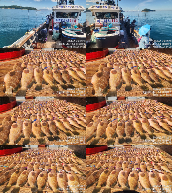 01TimePhoto_20260726_101244-tile.jpg