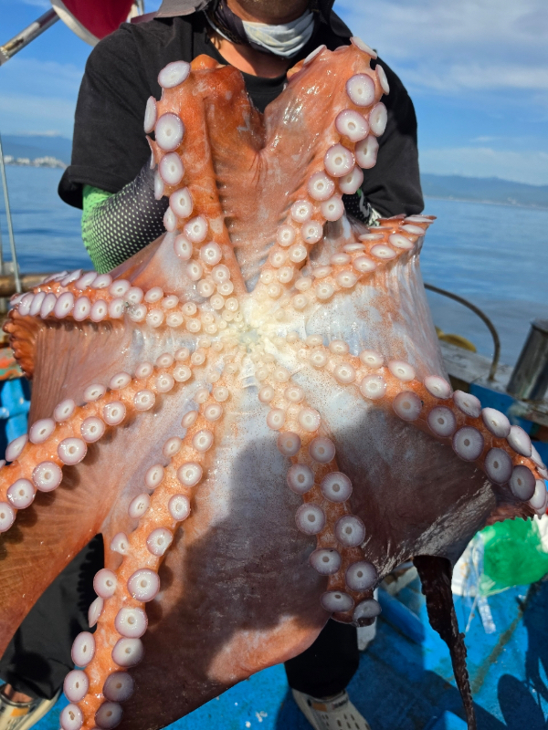 D363A091-D738-4B17-842C-663D22642B7D.jpeg
