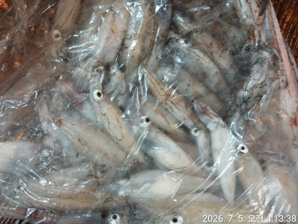 920A128A-782E-471B-8D55-FD9B473EA238.jpeg