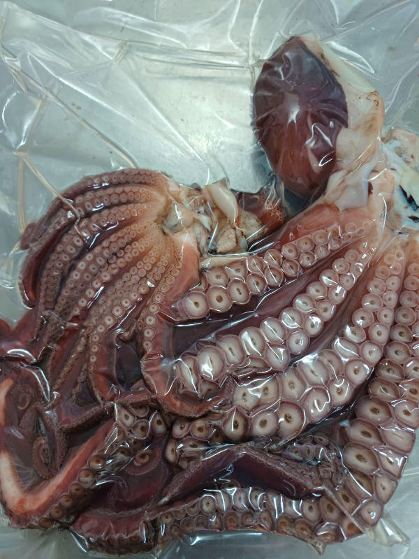 1000002826.jpg
