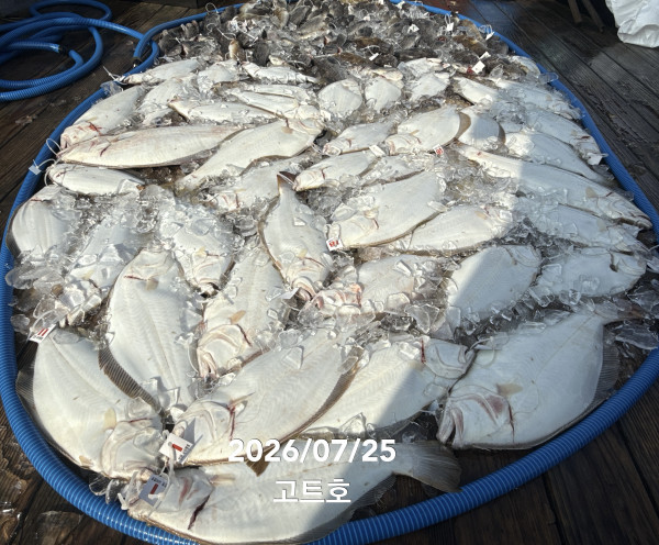 TC_07882.jpeg